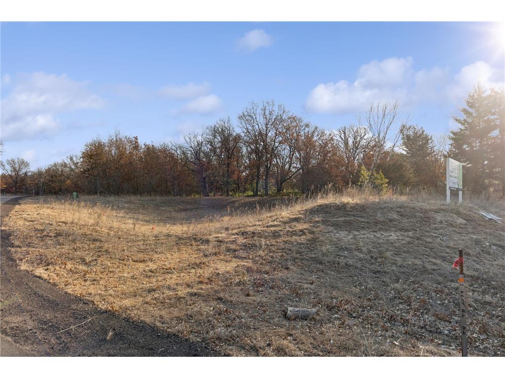 20331 Salem Street NW Elk River MN 55330 7036080 image8
