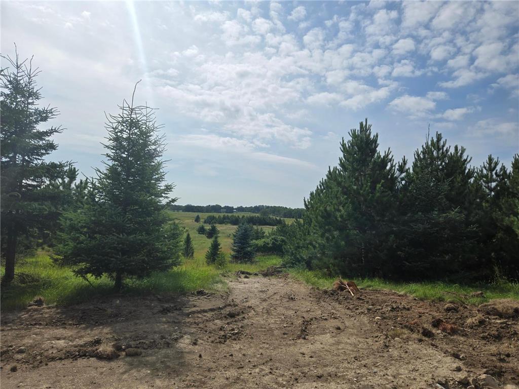 20332 County Highway 25 Detroit Lakes MN 56501 6751236 image1