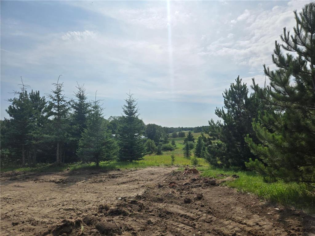 20332 County Highway 25 Detroit Lakes MN 56501 6751236 image11