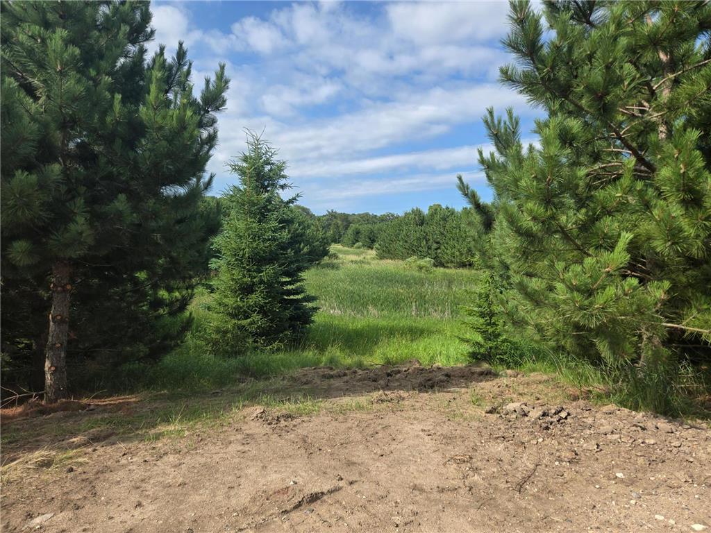 20332 County Highway 25 Detroit Lakes MN 56501 6751236 image2