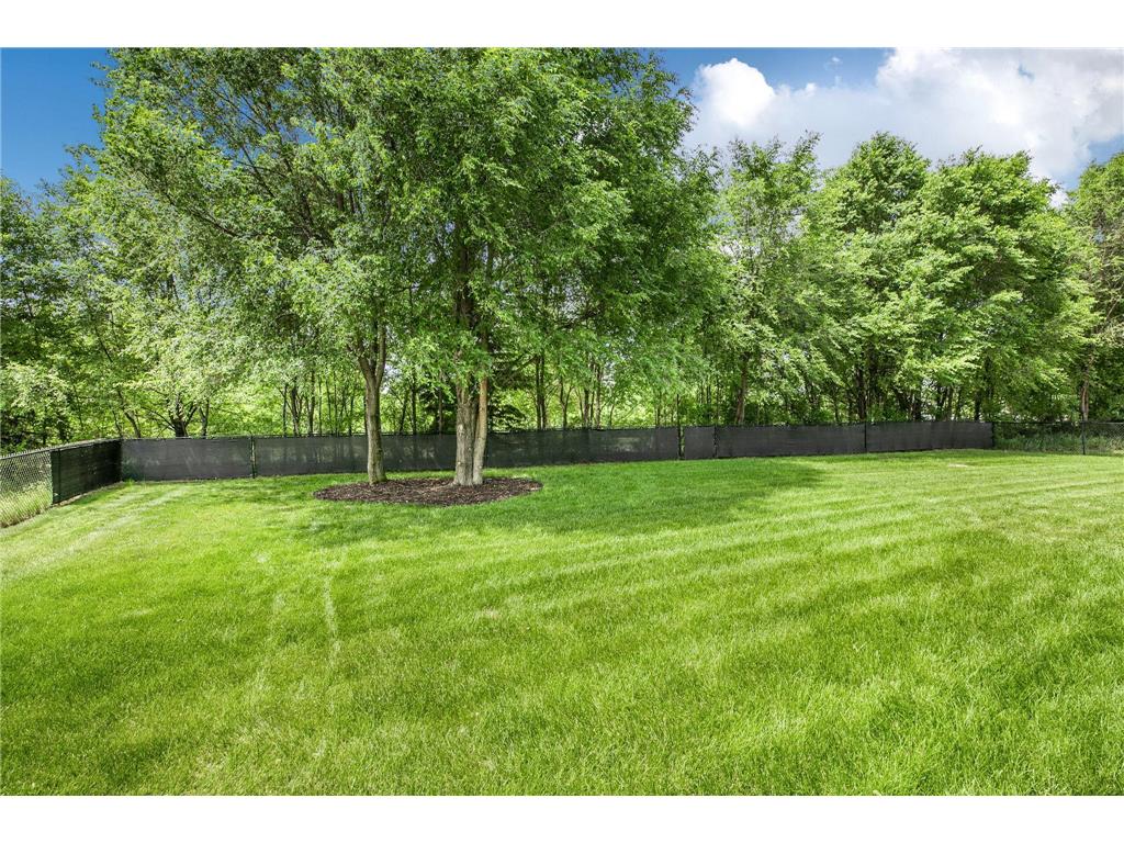 20360 June Grass Drive Big Lake MN 55309 7088183 image29