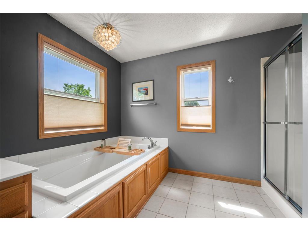 20364 Enright Way Farmington MN 55024 7094953 image33