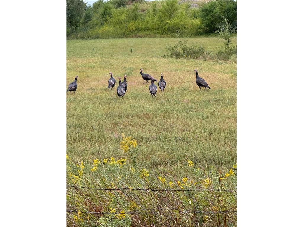 20371 180th Avenue N Ulen MN 56585 6780855 image48