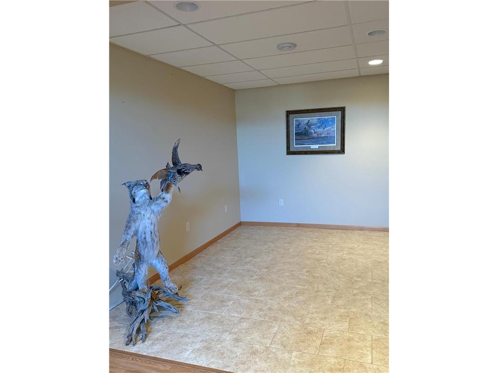 20371 180th Avenue N Ulen MN 56585 6780855 image68