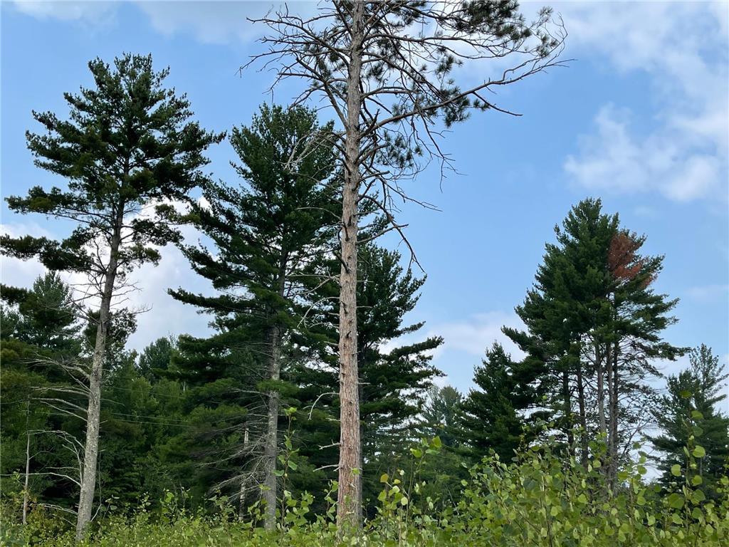 20373 N Hummingbird Drive Grand Rapids MN 55744 6420797 image1