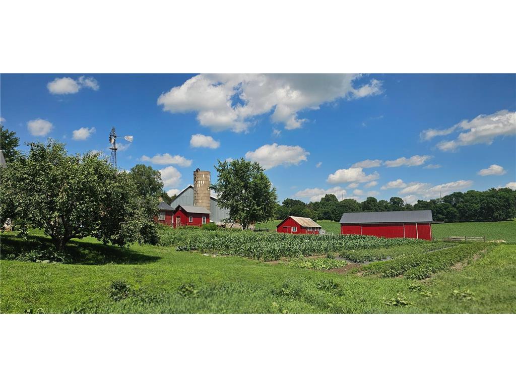 20376 County 19 Preston Twp MN 55949 6722319 image16