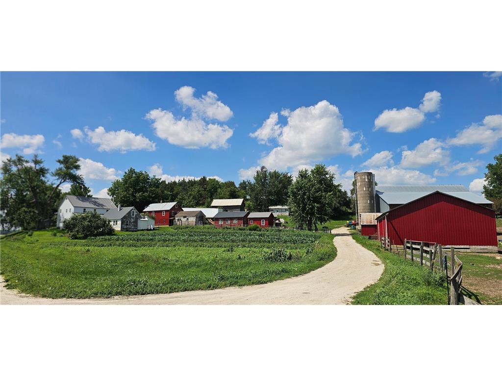 20376 County 19 Preston Twp MN 55949 6722319 image17