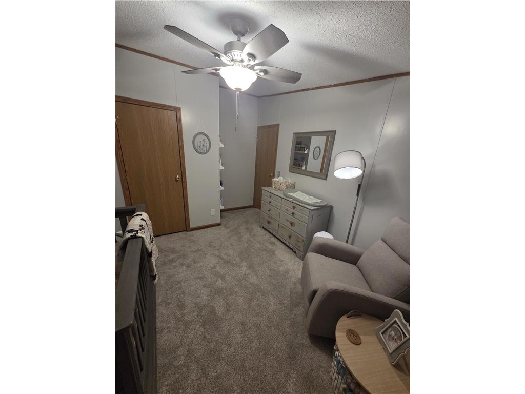 204 E 4th Street Donnelly MN 56235 7024772 image24