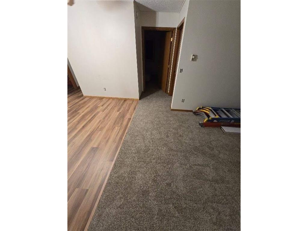 204 Lake Avenue E Hill City MN 55748 6786681 image14