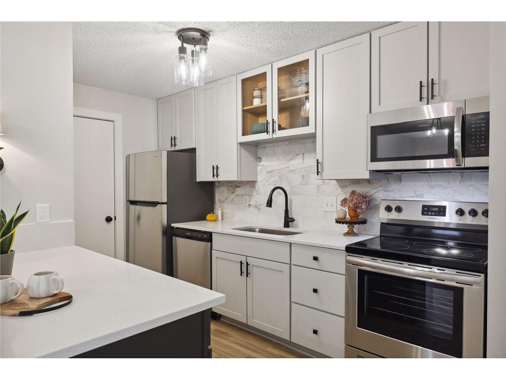 2041 N Park Drive #5 Saint Paul MN 55119 6445834 image1