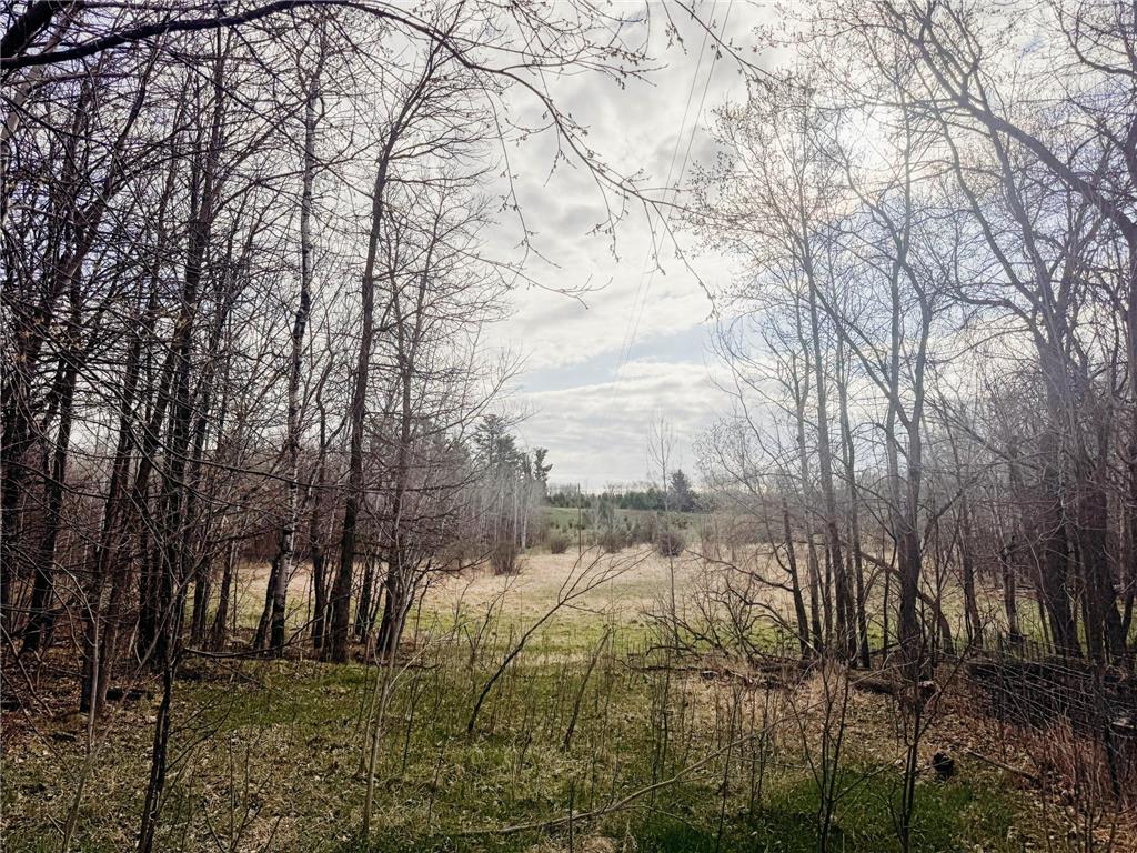 20411 County Highway 39 Osage MN 56570 7002892 image18