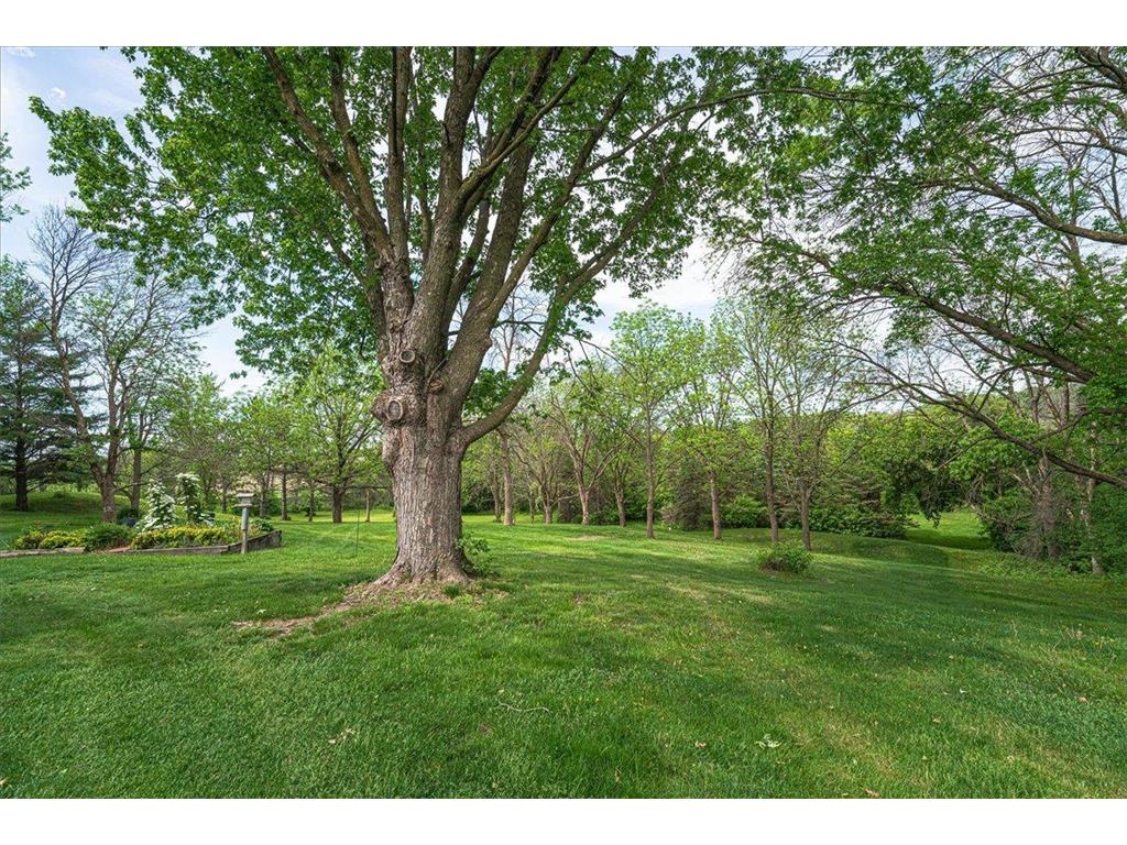 20426 Kanes Lane Spring Lake Twp MN 55372 7074452 image38