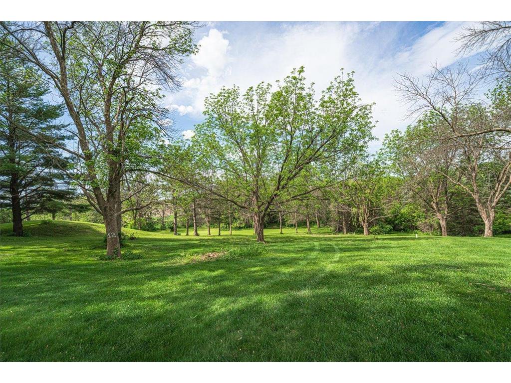 20426 Kanes Lane Spring Lake Twp MN 55372 7074452 image39