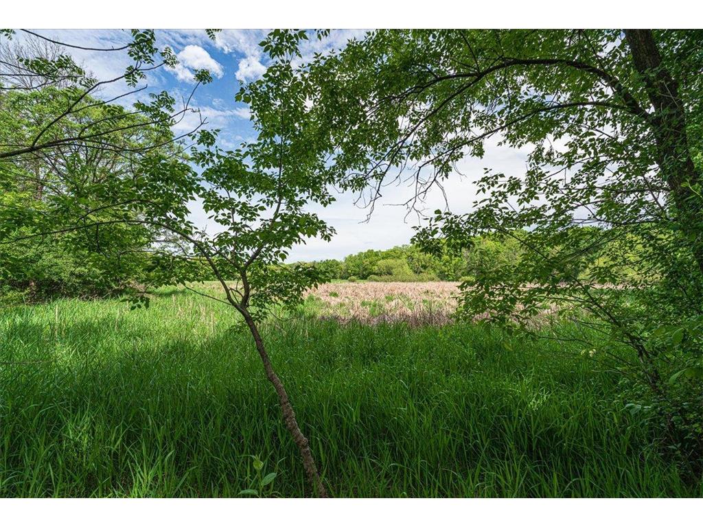 20426 Kanes Lane Spring Lake Twp MN 55372 7074452 image42