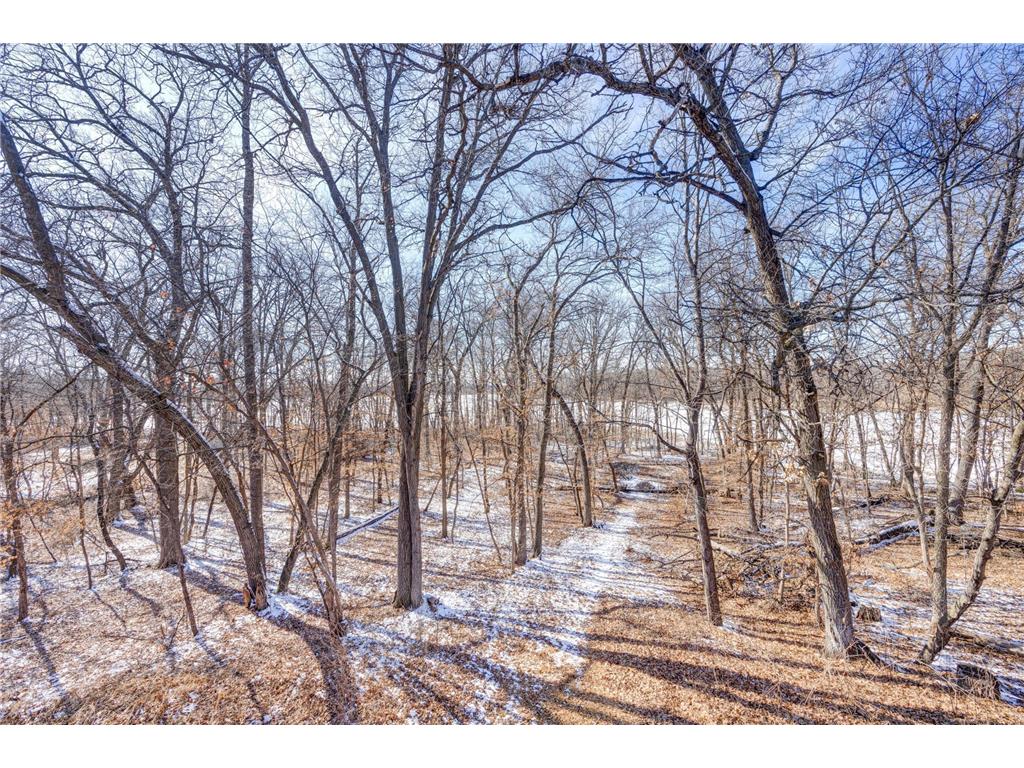 20441 Elmwood Road Clearwater MN 55320 - Bunt 7034359 image28