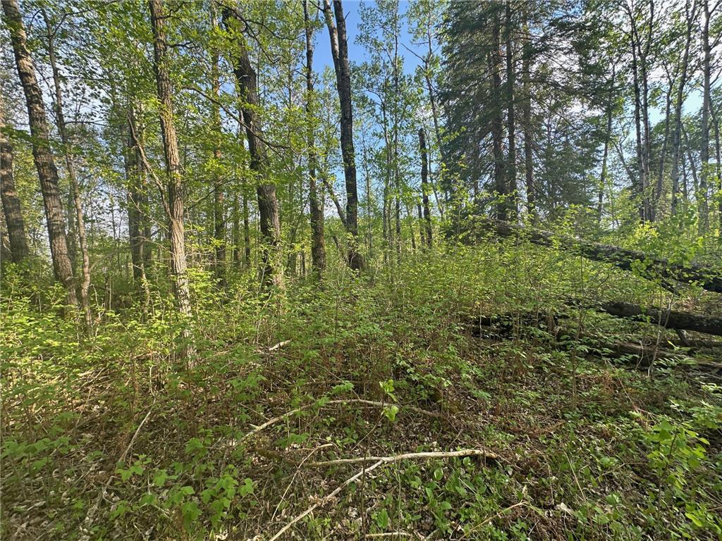 2045 County 47 NE Blind Lake Twp MN 56655 6722755 image1