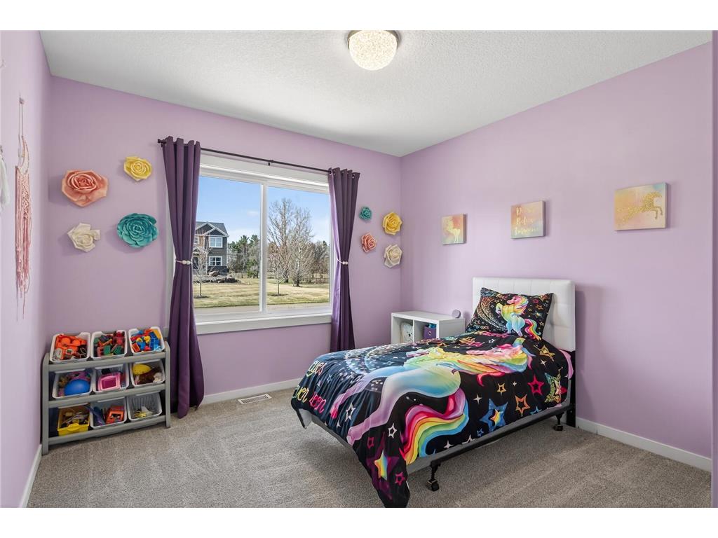 2046 162nd Avenue NE Ham Lake MN 55304 7069934 image37