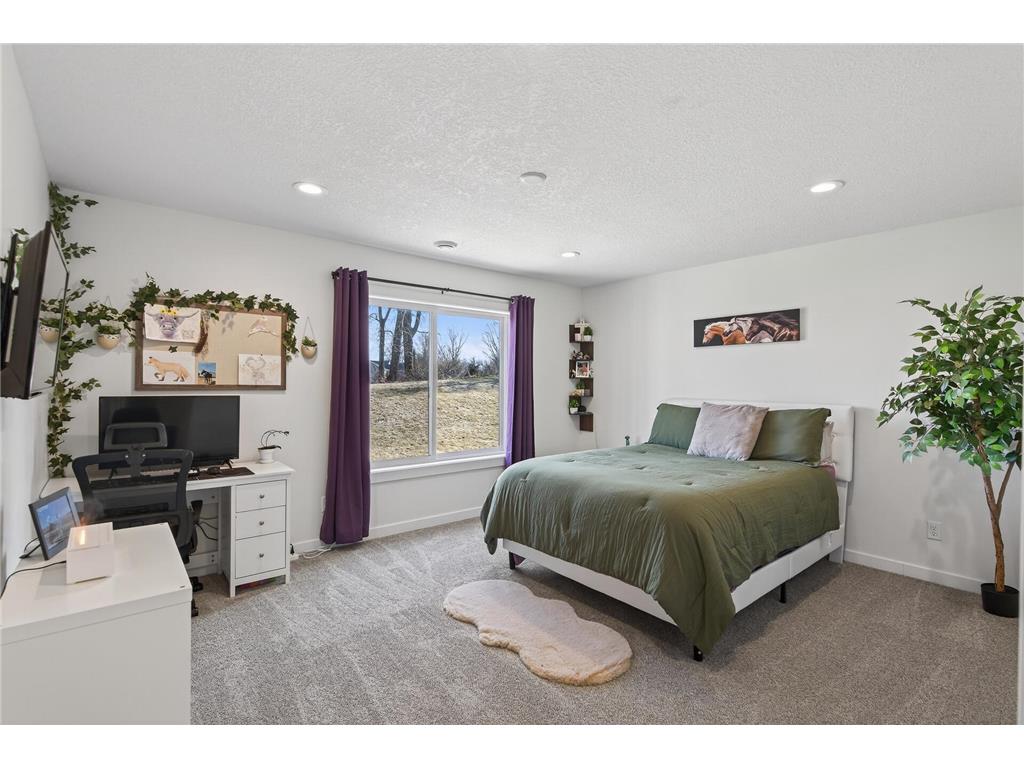 2046 162nd Avenue NE Ham Lake MN 55304 7069934 image57