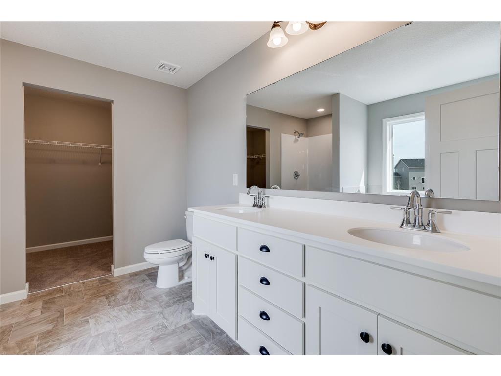 2046 Coneflower Point Buffalo MN 55313 6768653 image8