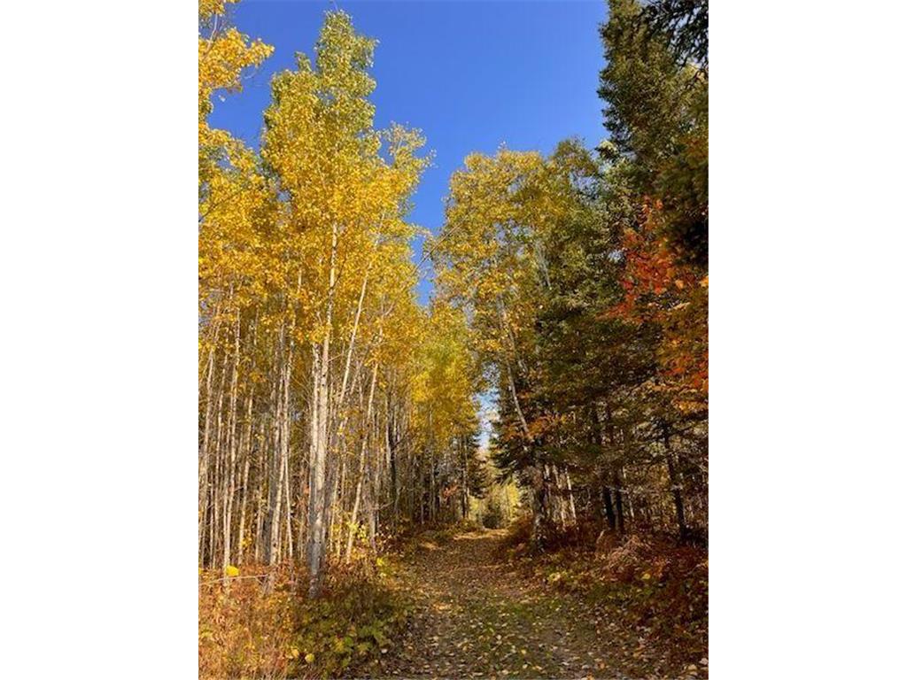 20469 Cr-52 Cook MN 55723 - Little Bear Lake 7066094 image14