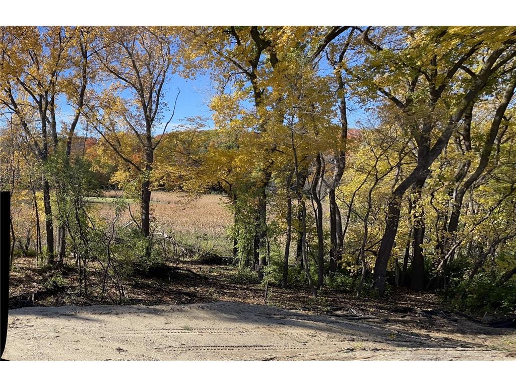 20472 Radisson Road Shorewood MN 55331 - Como Lake 7016781 image33