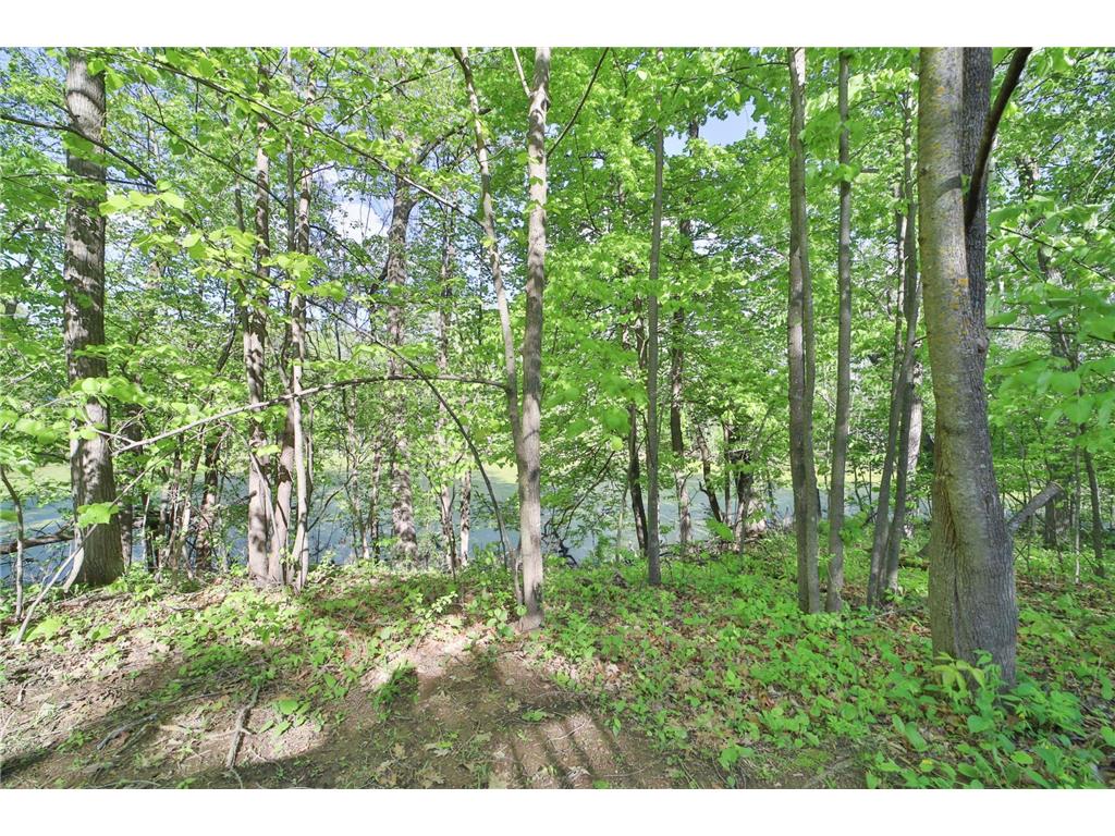 20482 Lord Road Merrifield MN 56465 - Mississippi 7030426 image54