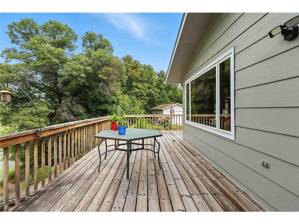 20484 Ann River Drive Arthur Twp MN 55051 - Fish 6815625 image16