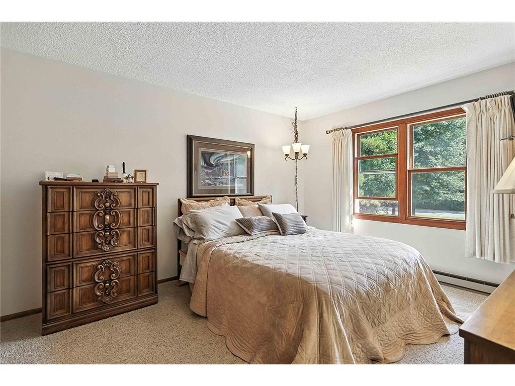 20484 Ann River Drive Arthur Twp MN 55051 - Fish 6815625 image8