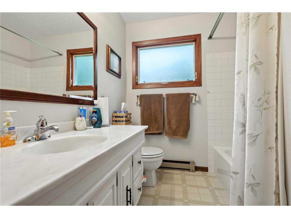 20484 Ann River Drive Arthur Twp MN 55051 - Fish 7048458 image13