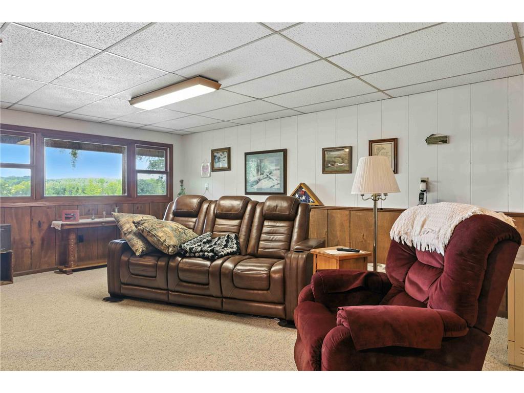 20484 Ann River Drive Arthur Twp MN 55051 - Fish 7048458 image8