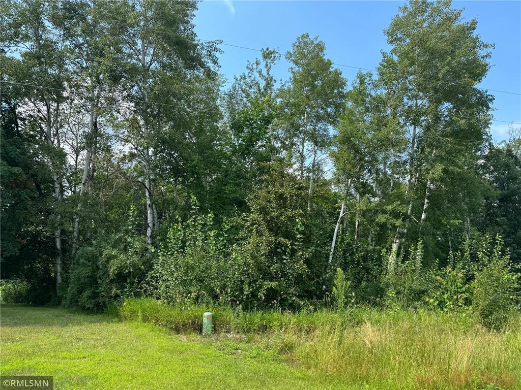 2048X Ann River Drive Arthur Twp MN 55051 - Fish 6491522 image1