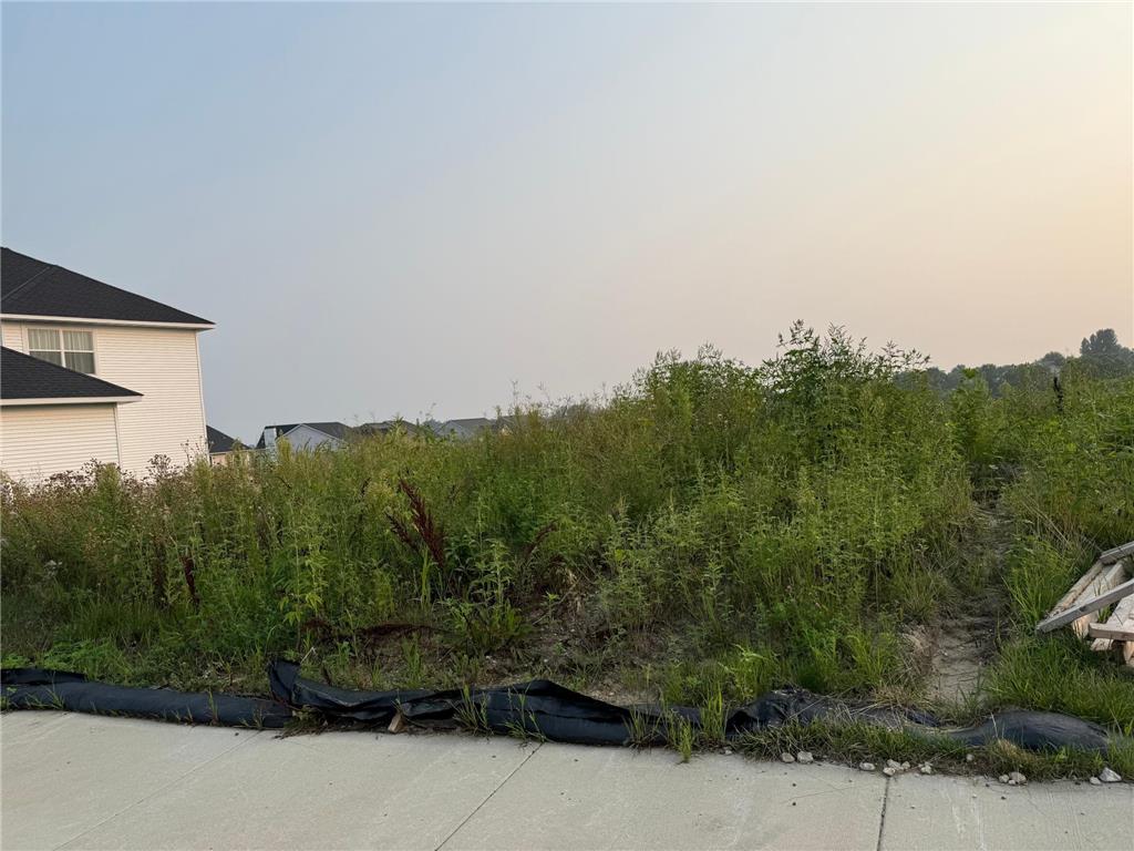 2049 Coneflower Point Buffalo MN 55313 6770761 image3