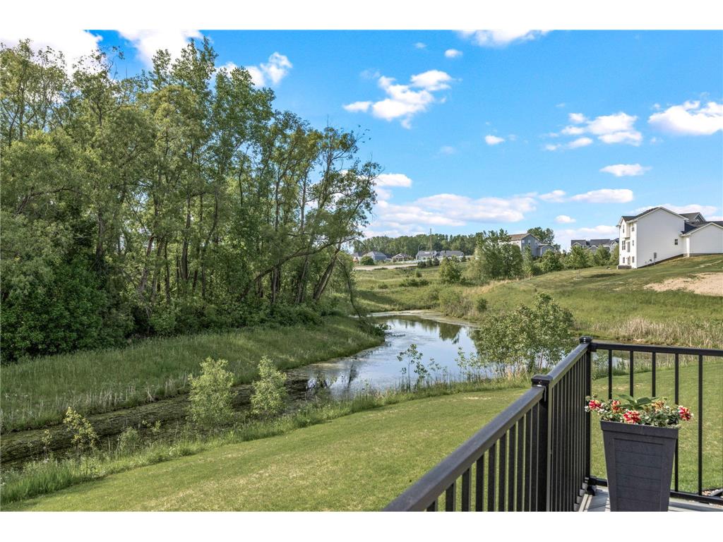 20490 Ginger Court Lakeville MN 55044 7081181 image35