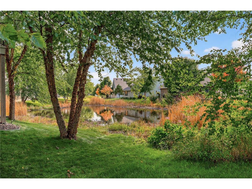 20491 Goodvine Trail N Forest Lake MN 55025 7034181 image24