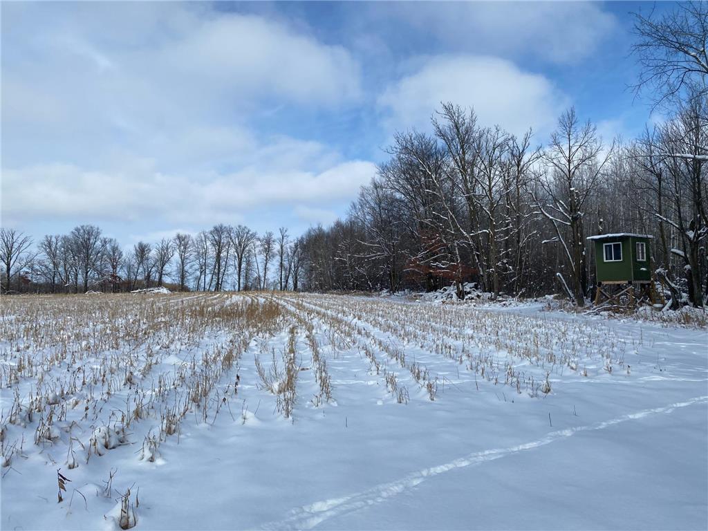 20497 635th Avenue Woodside Twp MN 56437 6309710 image1