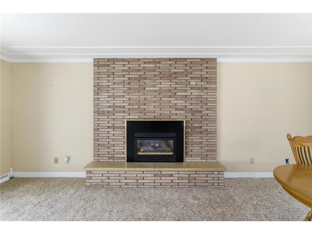205 3rd Avenue SE Mapleton MN 56065 7034822 image8