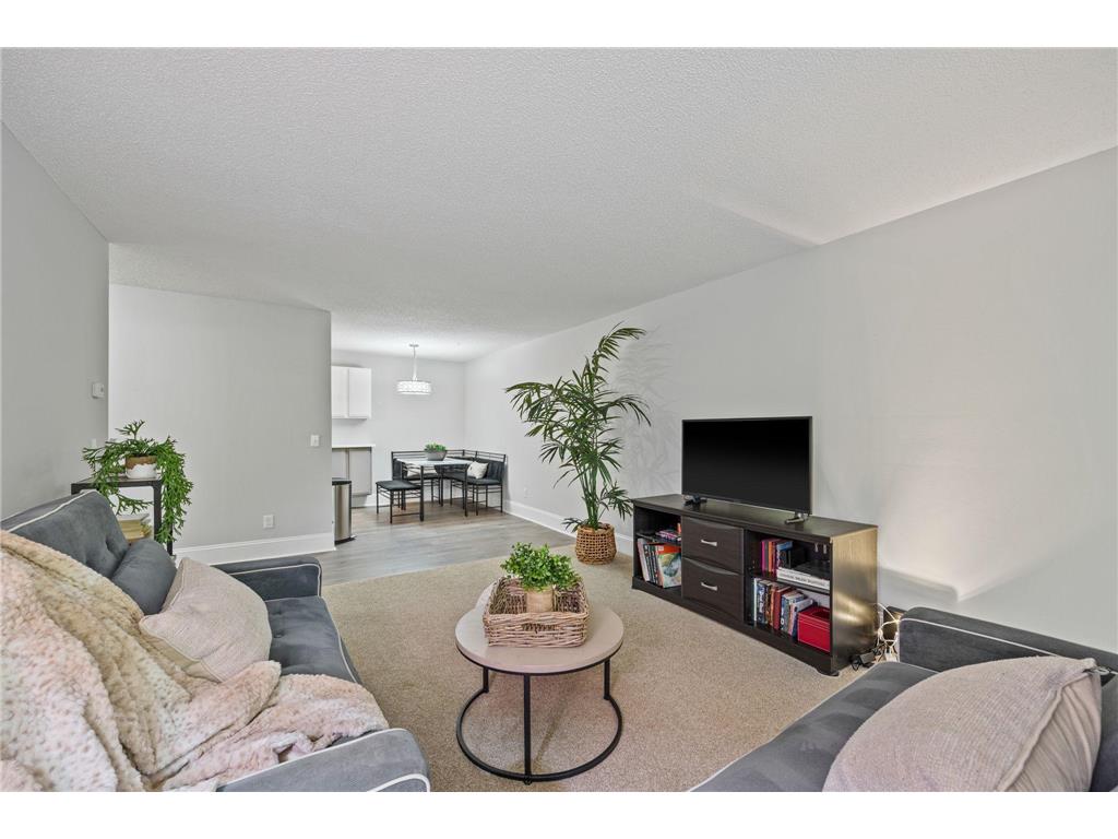 205 Barry Avenue S 213, Wayzata, MN, 55391 MLS 6562123 Edina Realty