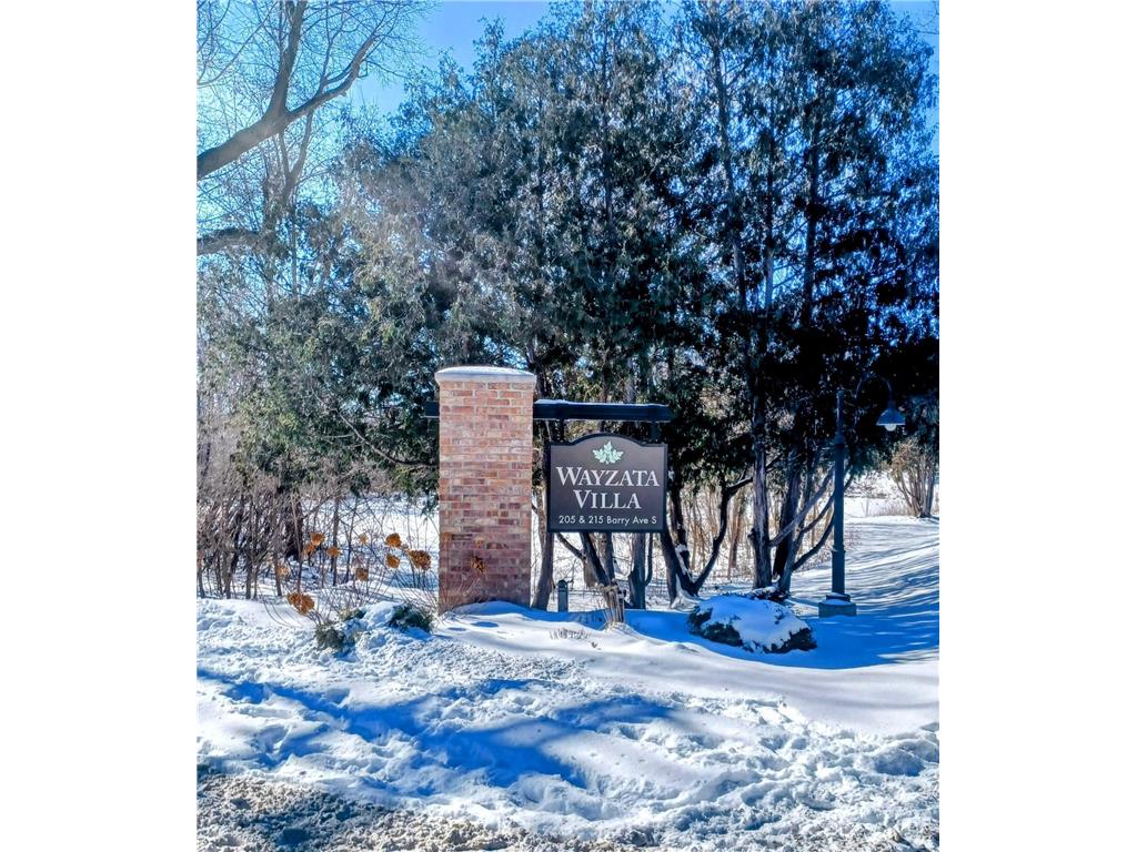 205 Barry Avenue S #222 Wayzata MN 55391 6655363 image1