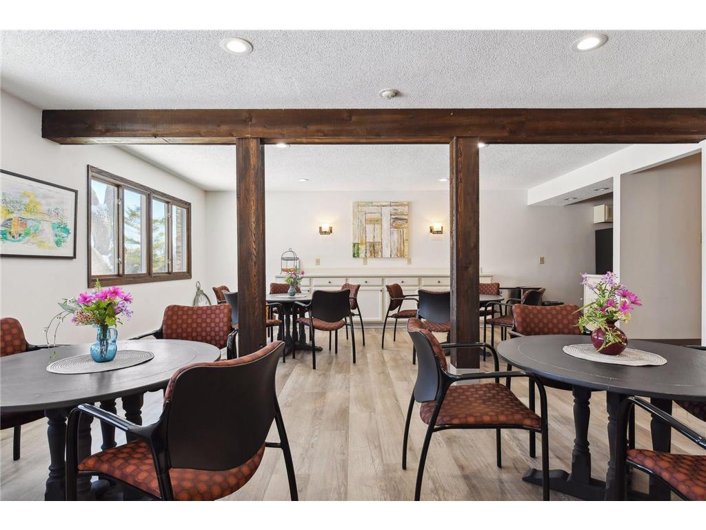 205 Barry Avenue S #303 Wayzata MN 55391 7012634 image28