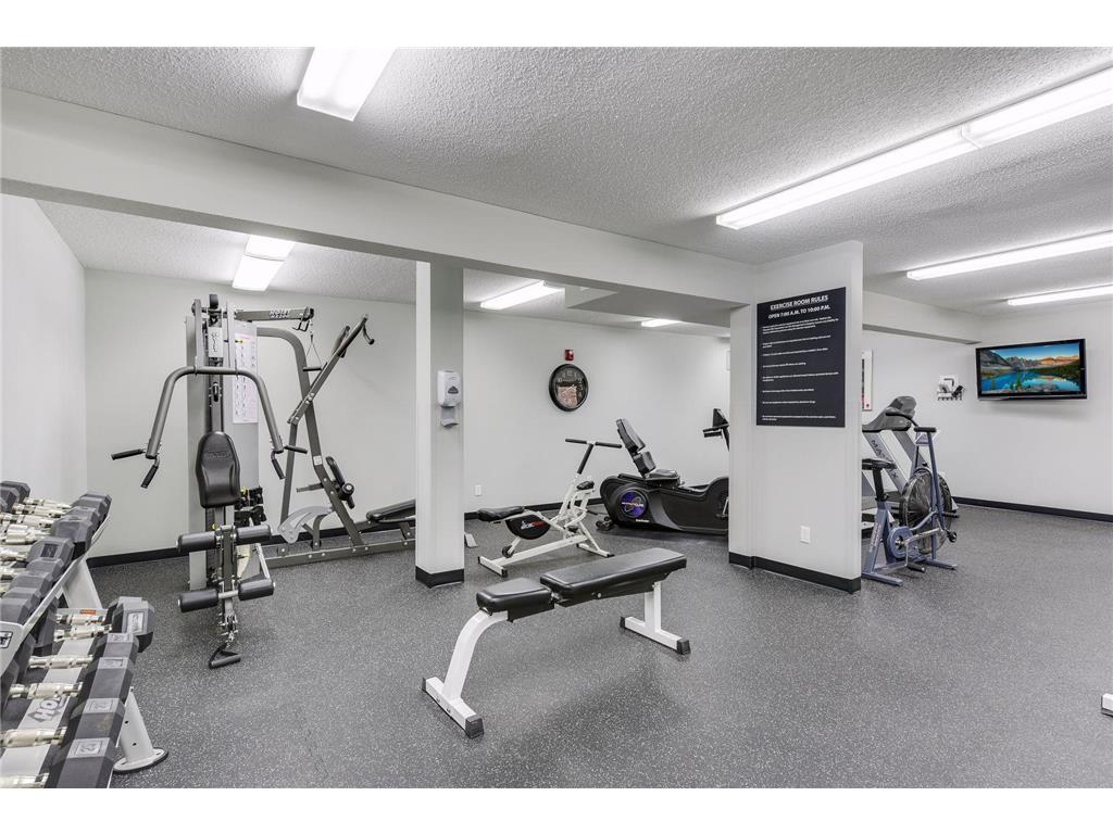 205 Barry Avenue S #303 Wayzata MN 55391 7012634 image31