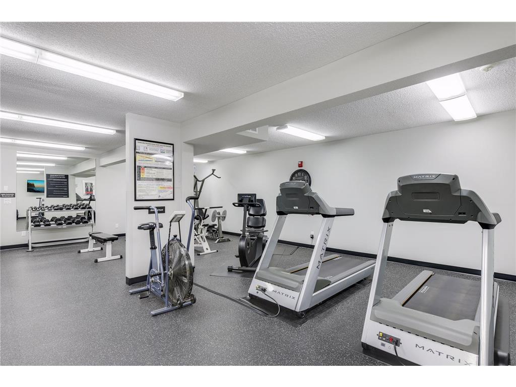 205 Barry Avenue S #303 Wayzata MN 55391 7012634 image32