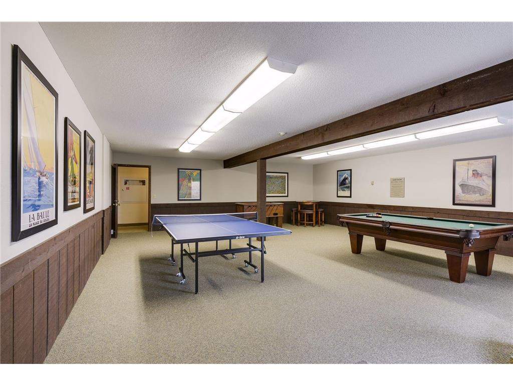 205 Barry Avenue S #303 Wayzata MN 55391 7012634 image37