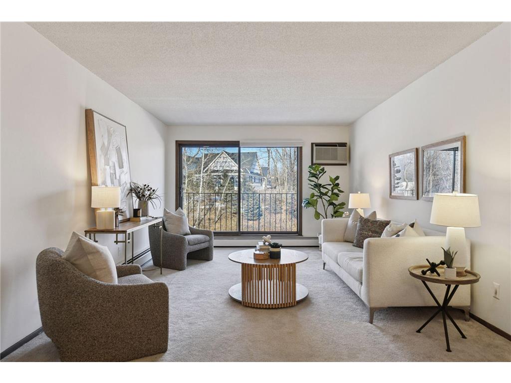 205 Barry Avenue S #303 Wayzata MN 55391 7012634 image4