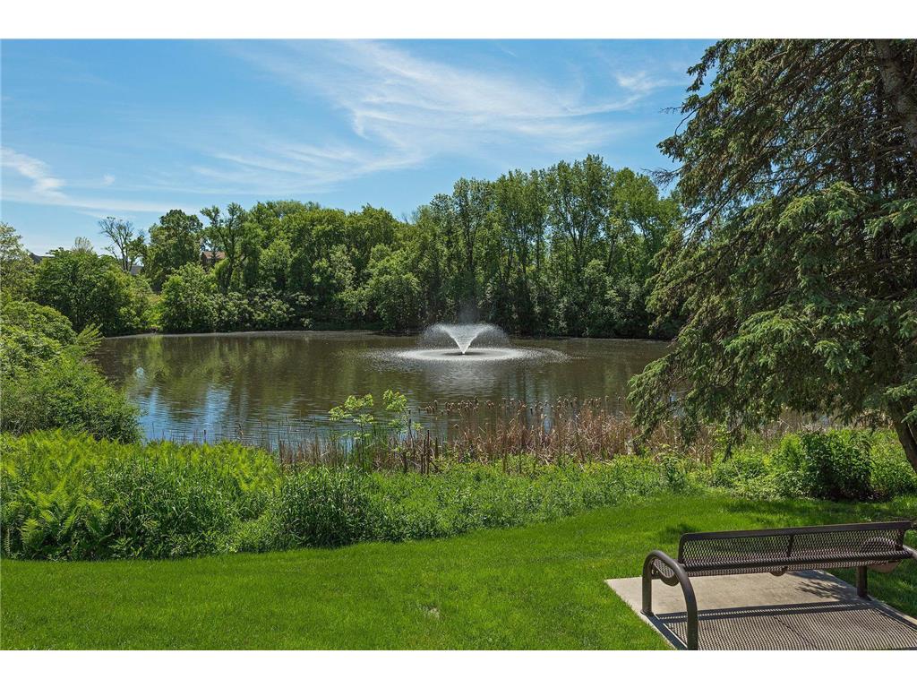 205 Barry Avenue S #303 Wayzata MN 55391 7012634 image42