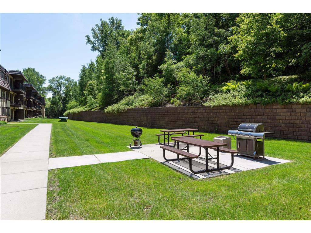 205 Barry Avenue S #303 Wayzata MN 55391 7012634 image45