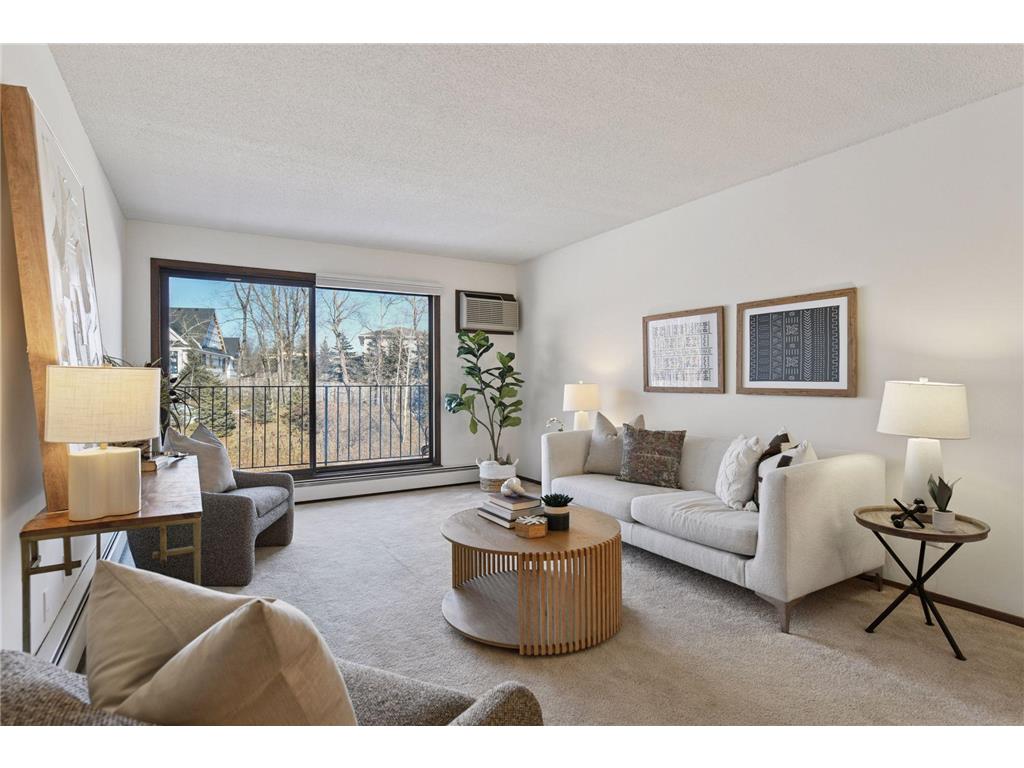 205 Barry Avenue S #303 Wayzata MN 55391 7012634 image5