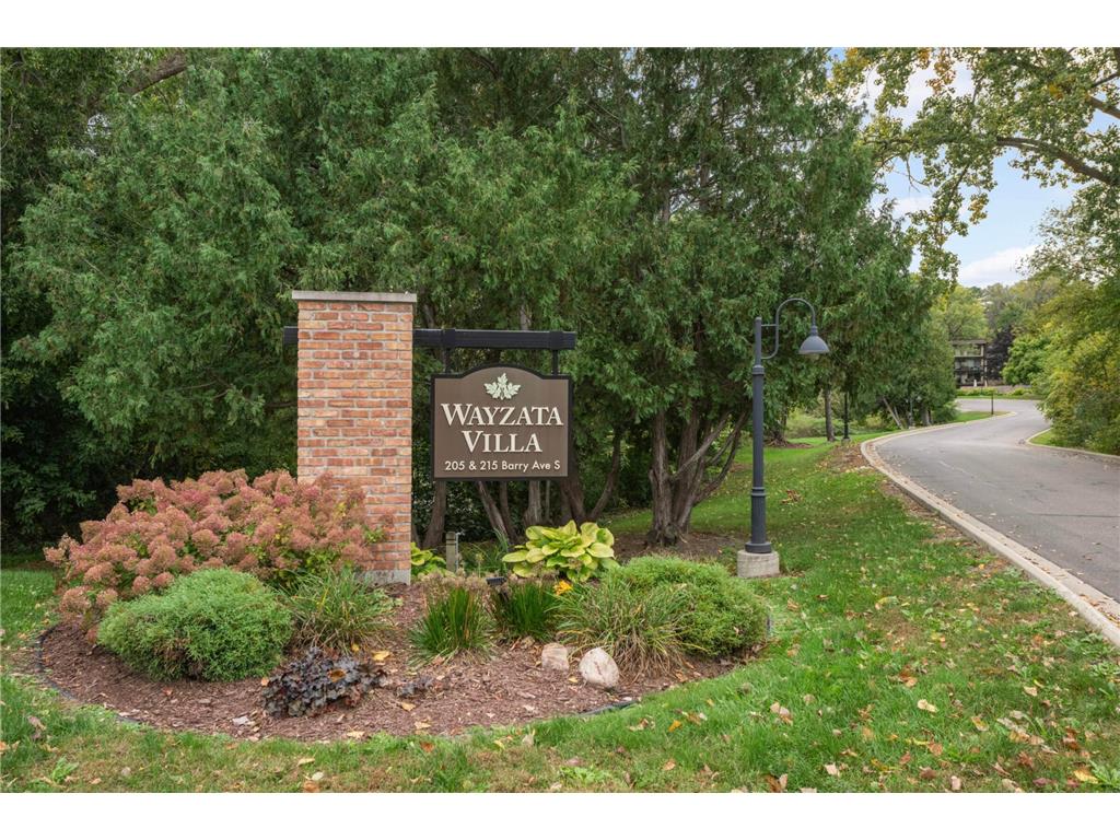 205 Barry Avenue S #305 Wayzata MN 55391 6800894 image1