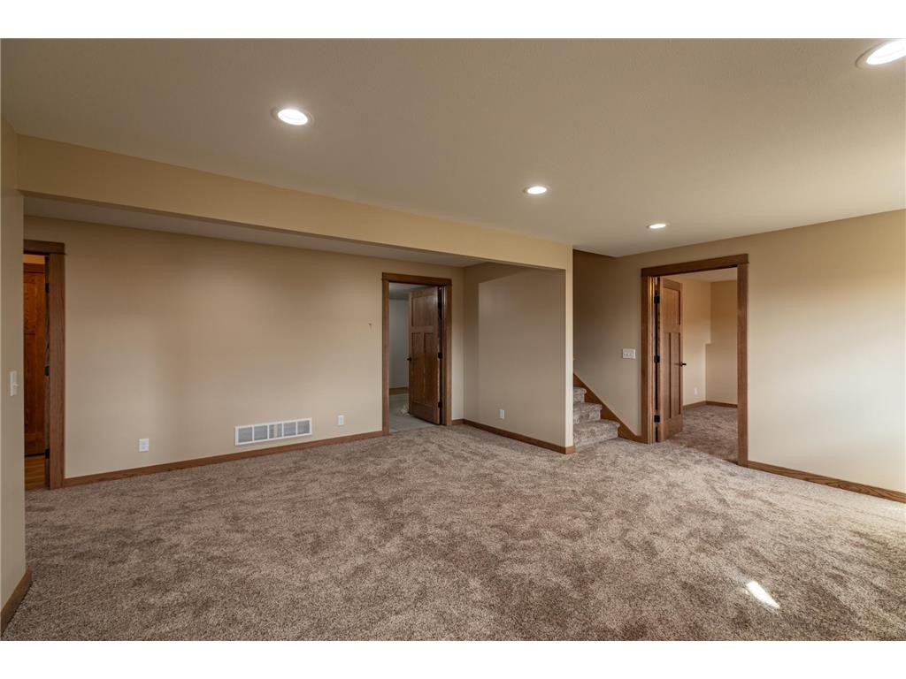 205 Pheasant Run Rollingstone MN 55969 7045340 image16
