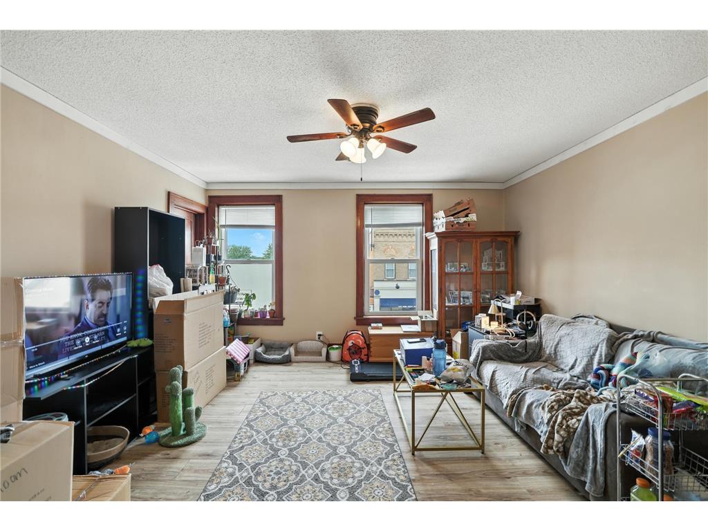 205 S Main Street Le Sueur MN 56058 6770424 image23