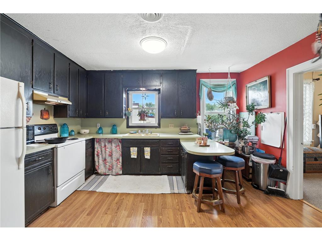 205 S Main Street Le Sueur MN 56058 6770424 image31